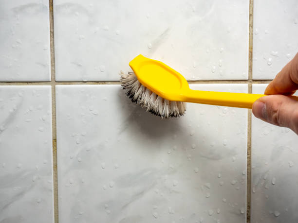 Best Mold Remediation for Specific Building Types in Carrier Mls, IL