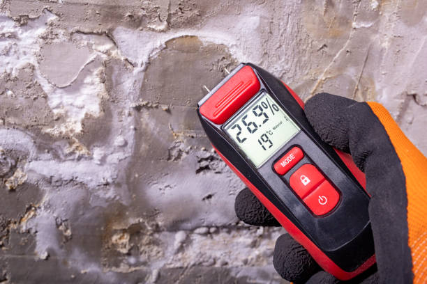 Best Mold Remediation for Schools in Carrier Mls, IL