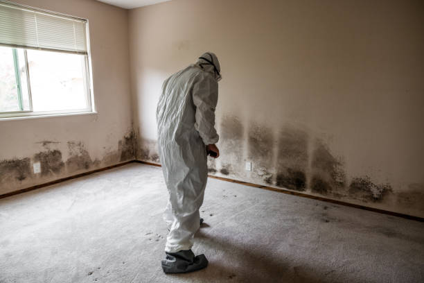 Best Bathroom Mold Remediation in Carrier Mls, IL